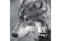 Catalogo Tiko