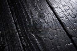 Kuzai Carbon