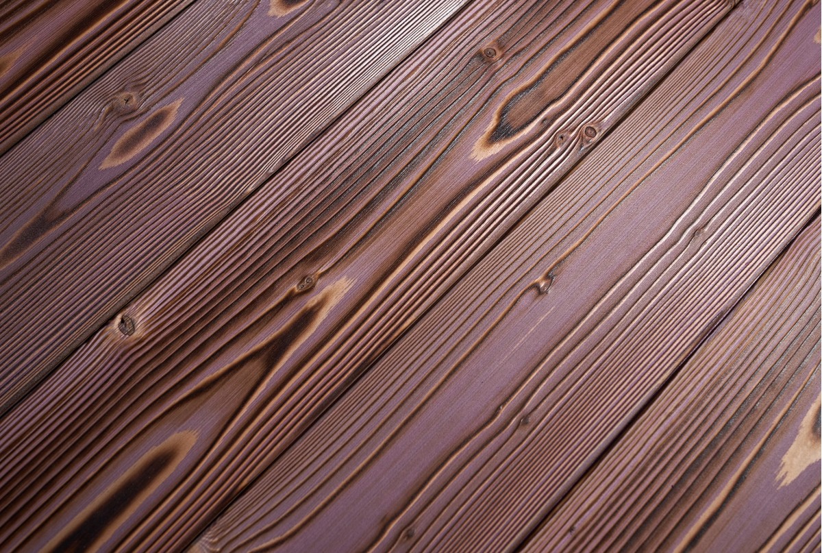 Kuzai Prugna