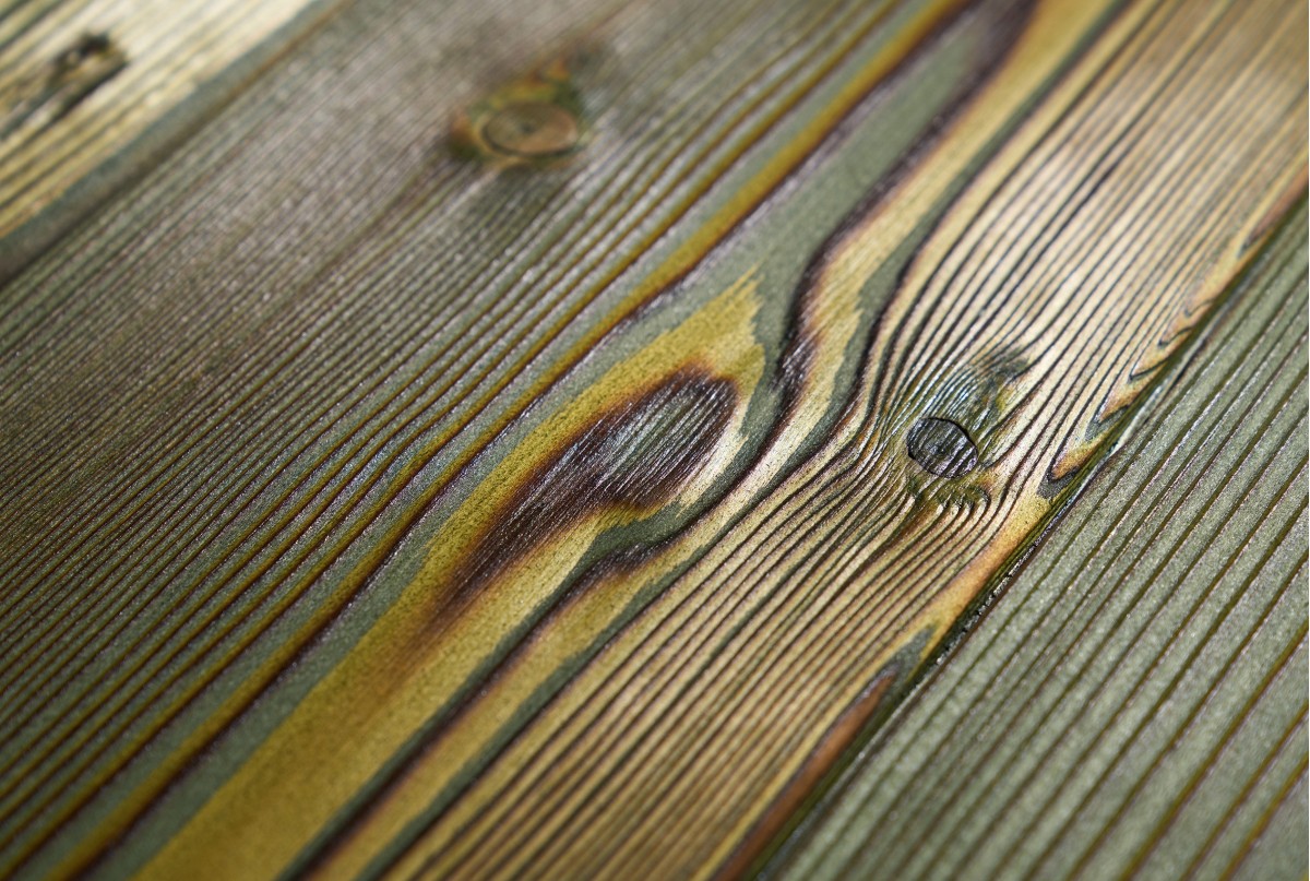 Kuzai Foresta