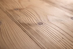 Kuzai Siena