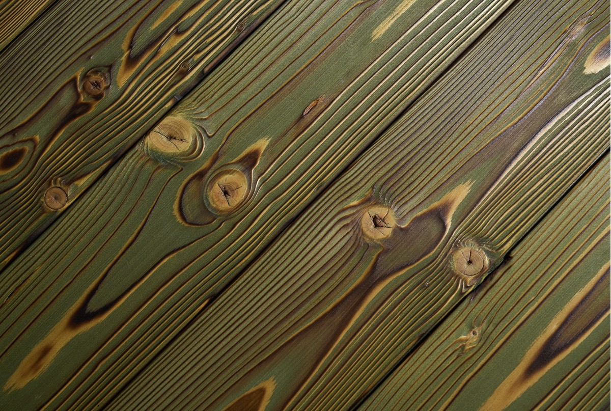 Kuzai Oliva