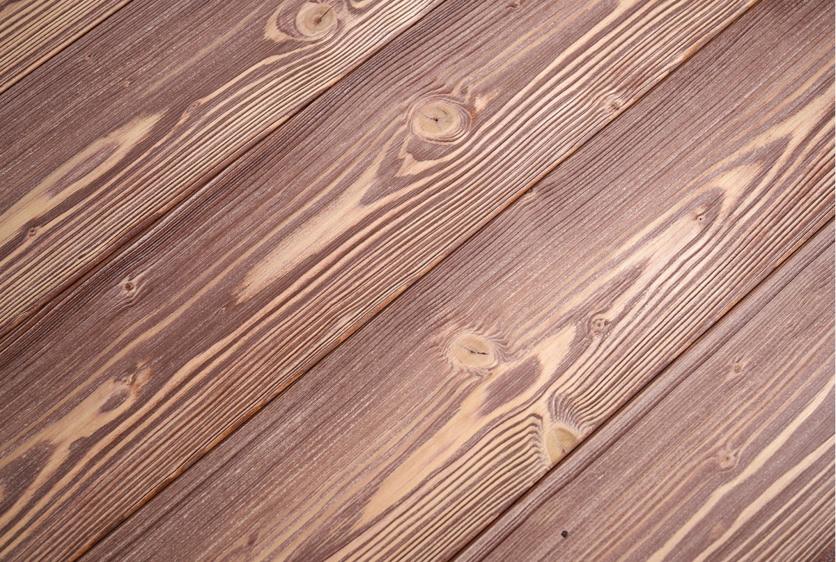 Kuzai Vinaccia