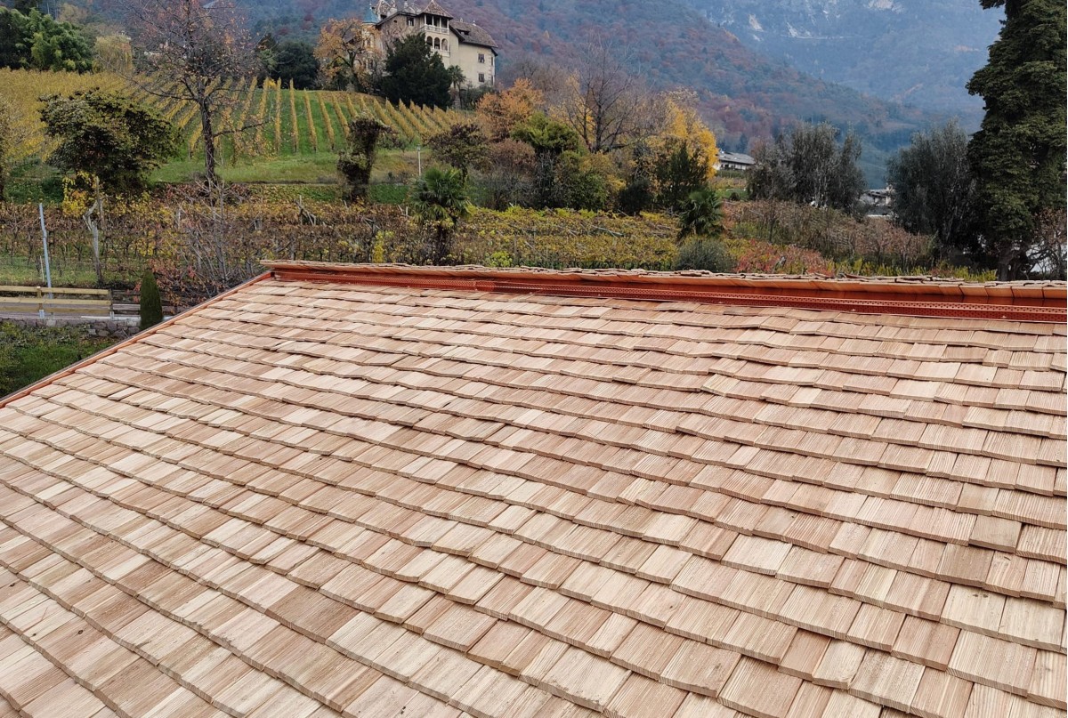 Natural split larch shingles